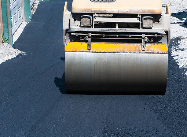 Best Driveway Crack Filling  in Williamstown, KY